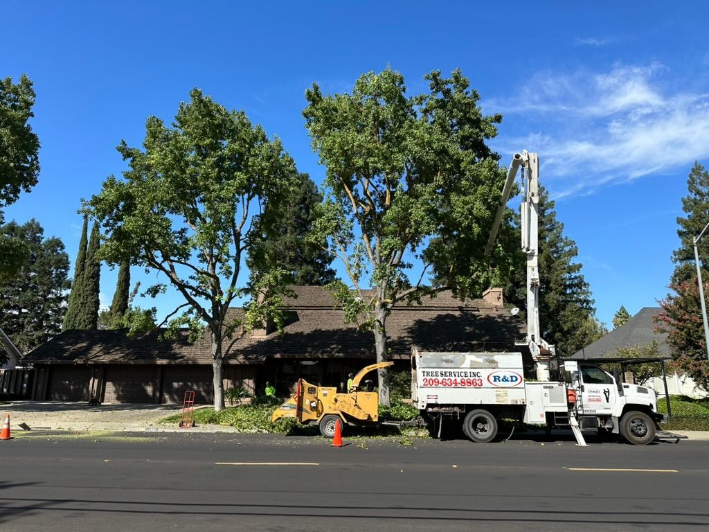 Utility truck and bucket lift on a tree-lined street beside houses under a blue sky