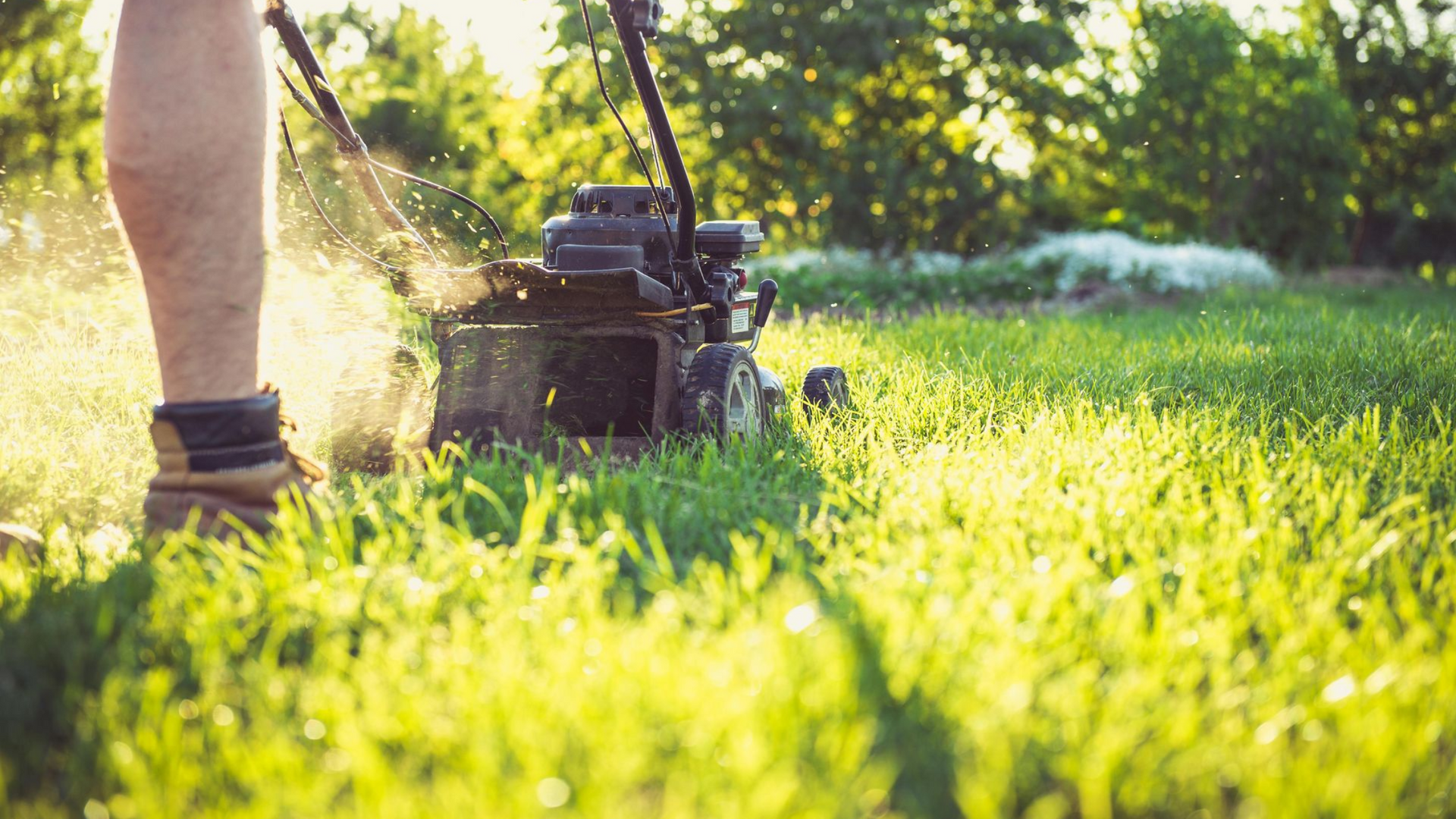 Person mowing a green lawn with a gas-powered lawnmower in the sunshine.