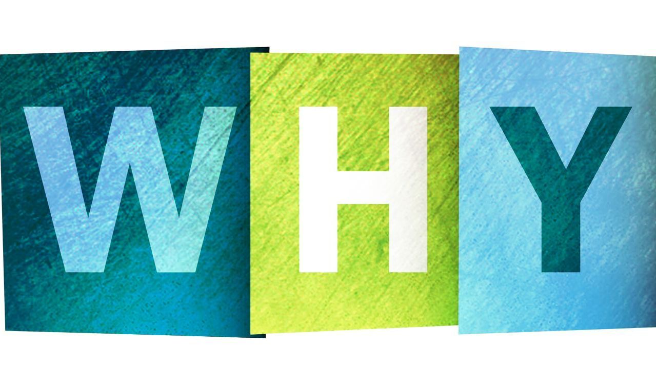 Why are Blogs Important for Business?