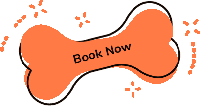 Book Now