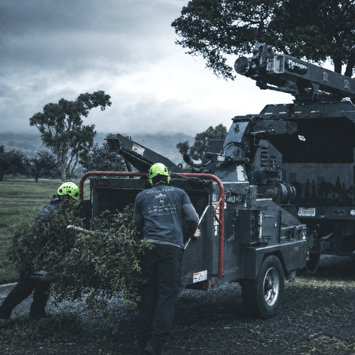 About Iron Leaf Pros About Iron Leaf Pros