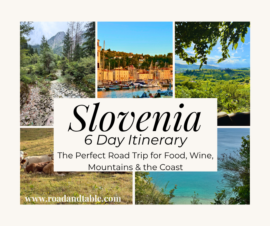 Slovenia travel itinerary poster with scenic coast, mountains, and vineyard views