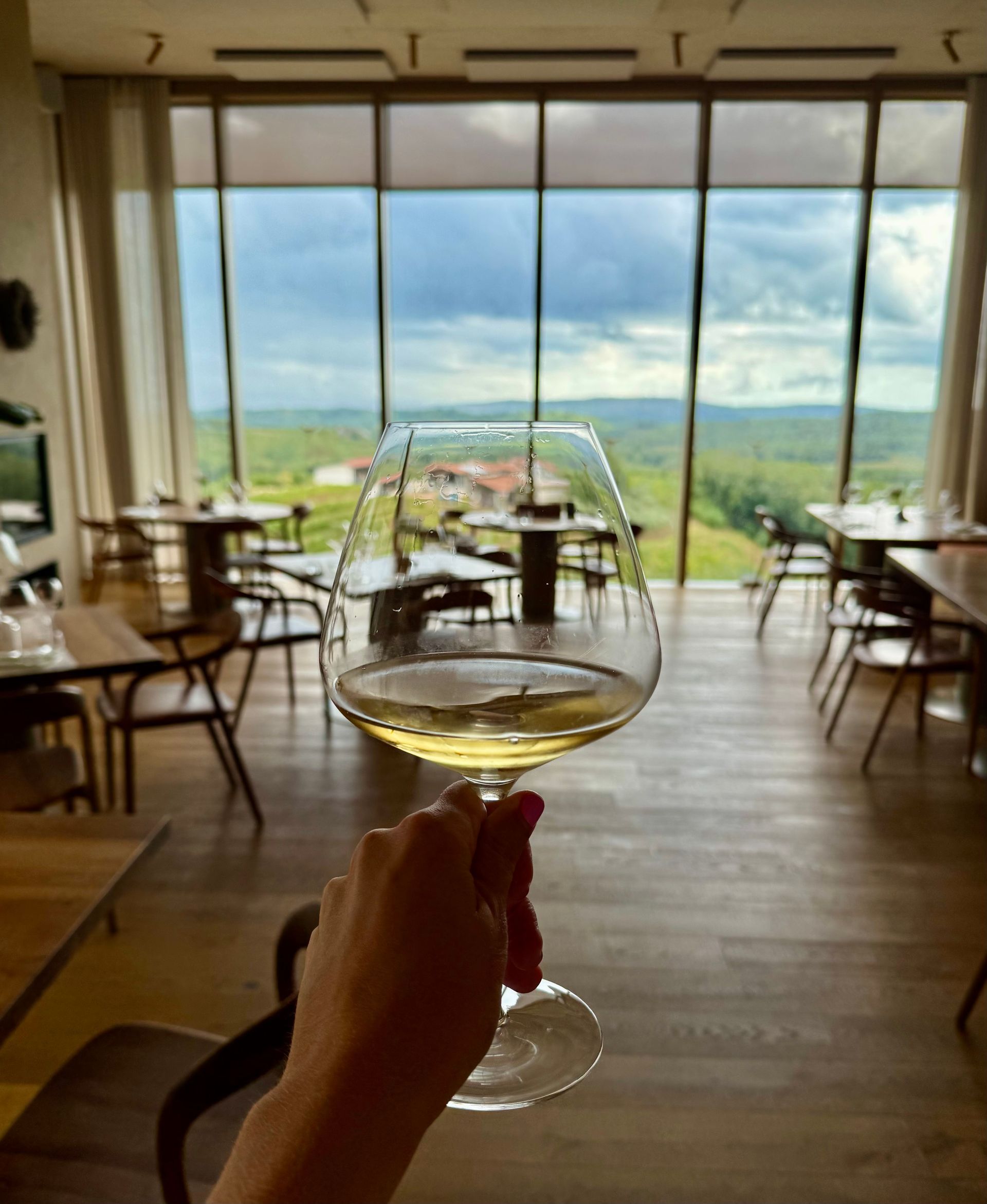 Hand holding a wine glass in a restaurant with floor-to-ceiling windows and a scenic valley view at Scurek Winery in Slovenia