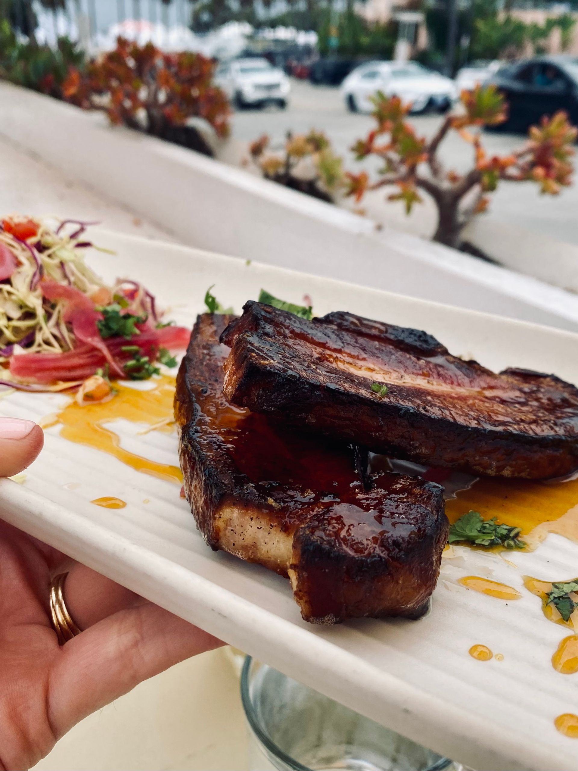 Hand holding a white plate with grilled meat and colorful garnish on a patio table in La Jolla, CA