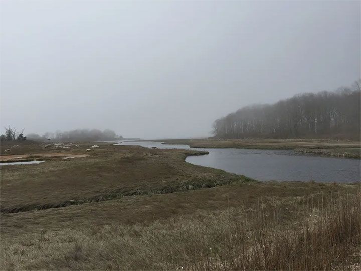 Barn Island