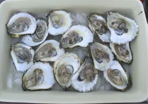food  served on plate  4