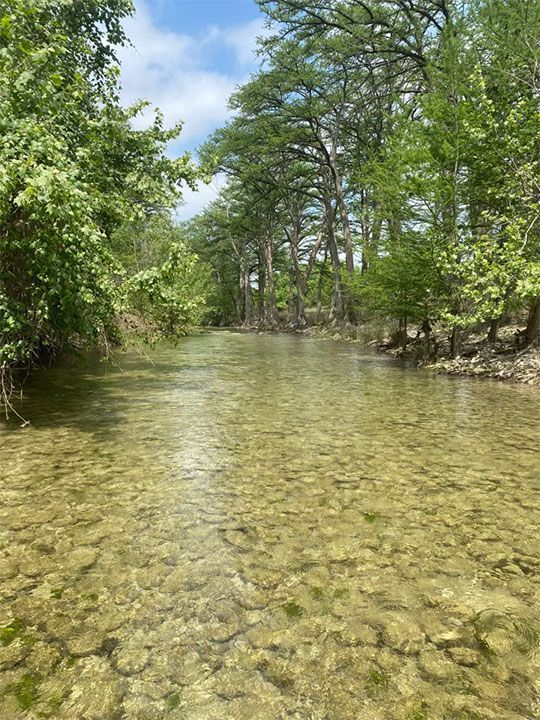The Medina River
