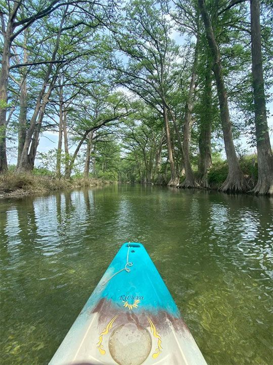 The Medina River