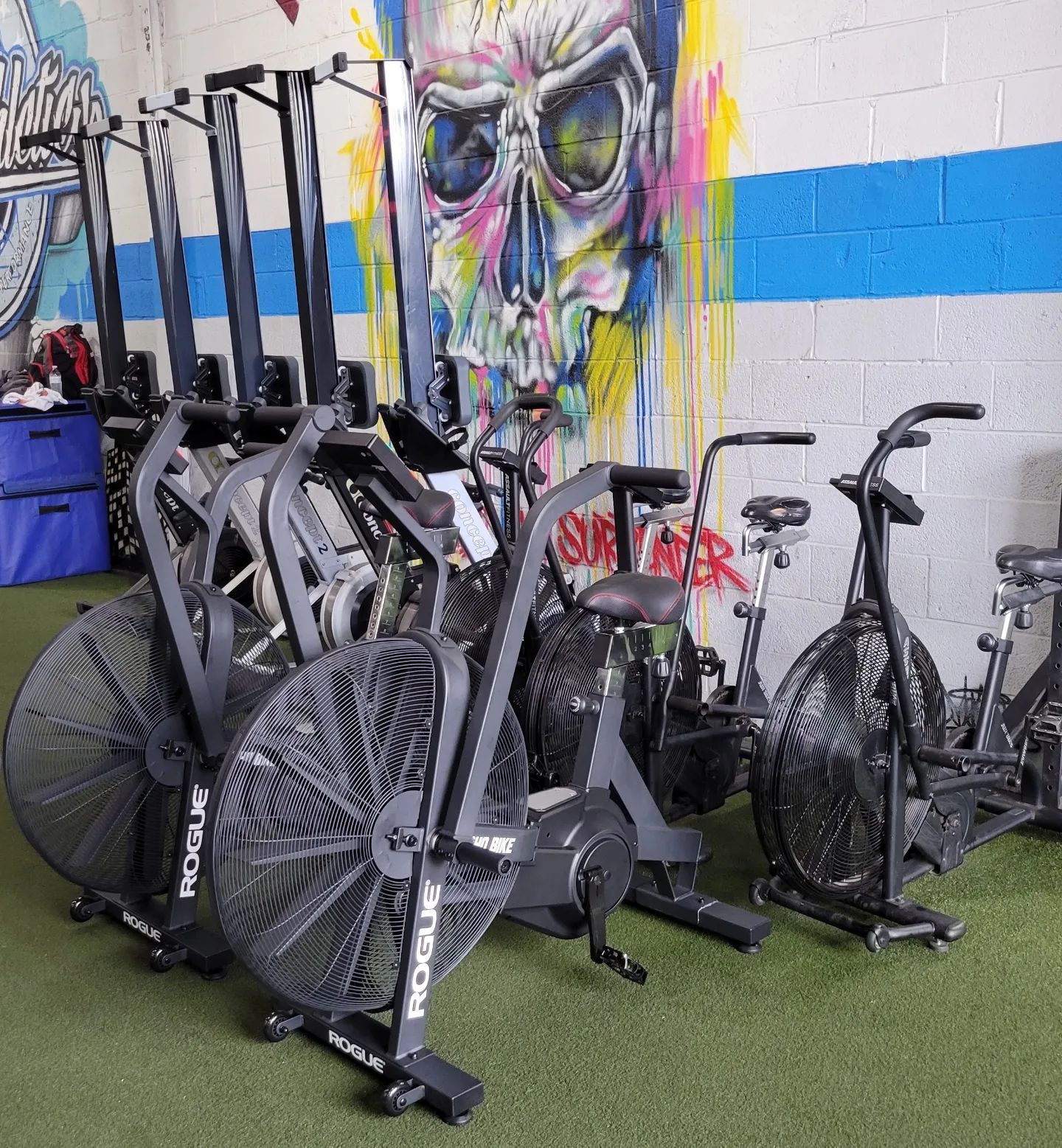 Weight Loss — Mineola, NY — Siege Athletics