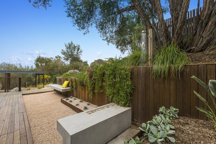 Patio With A Tree — Rye, VIC — Quin Wyatt Building Designers