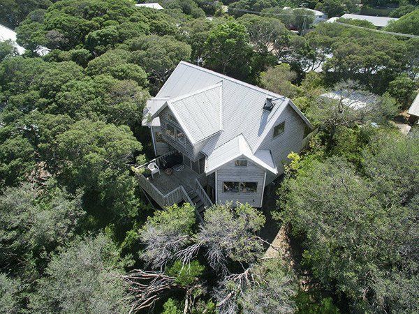 House Beside Trees — Rye, VIC — Quin Wyatt Building Designers