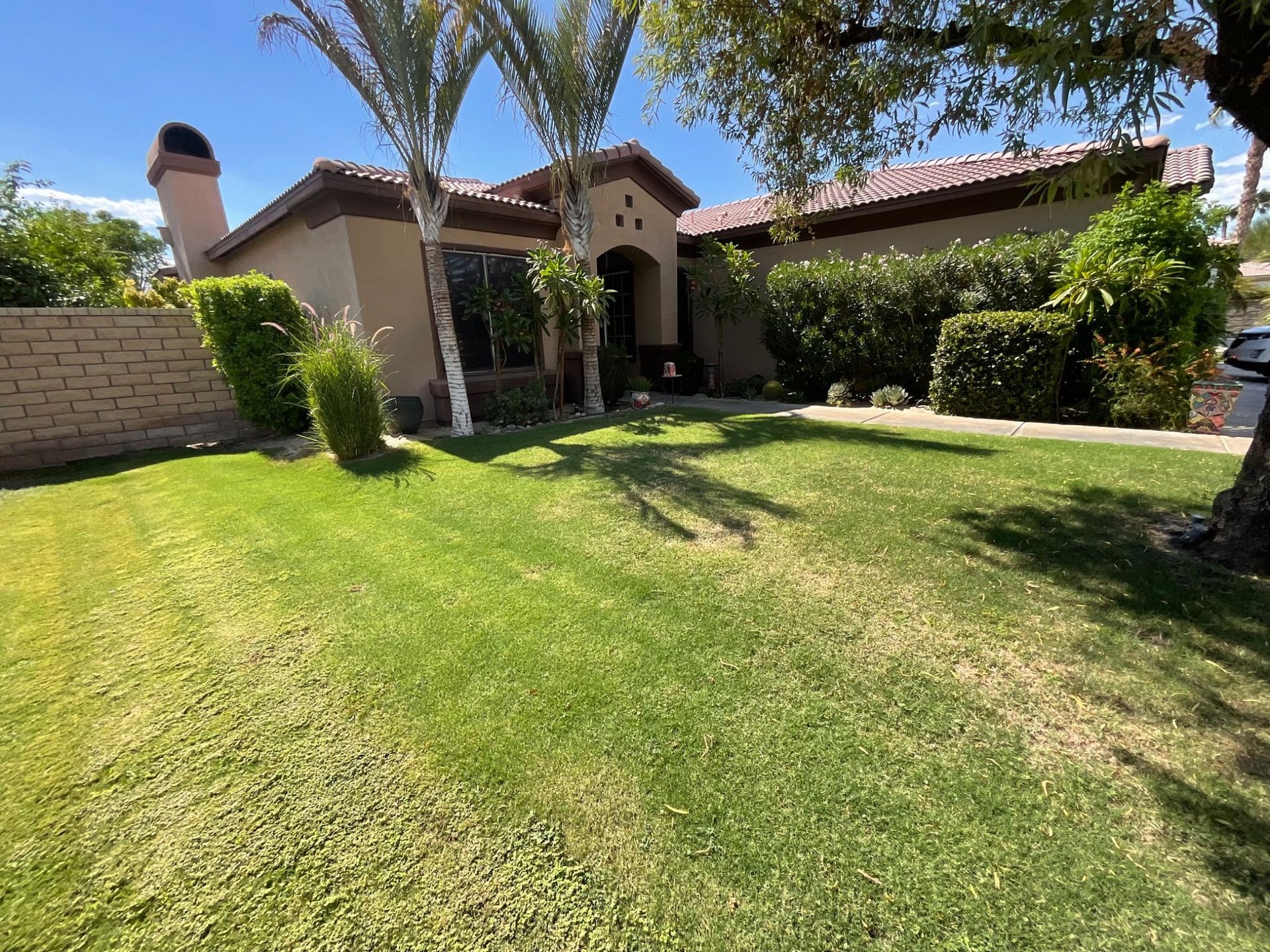 Sunlit suburban house with a green lawn, palm trees, and a brick entryway