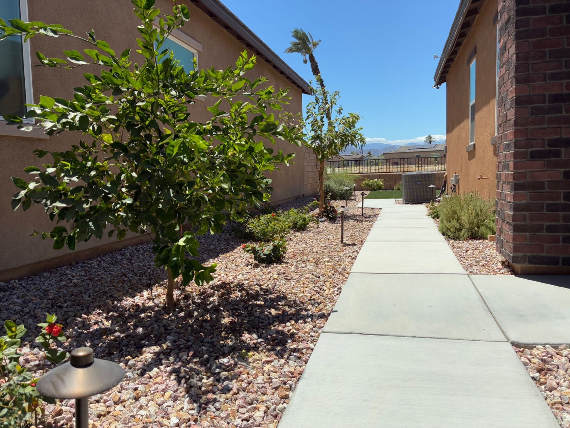 Apartment walkway between brick buildings with a small tree and desert landscaping under a clear blue sky