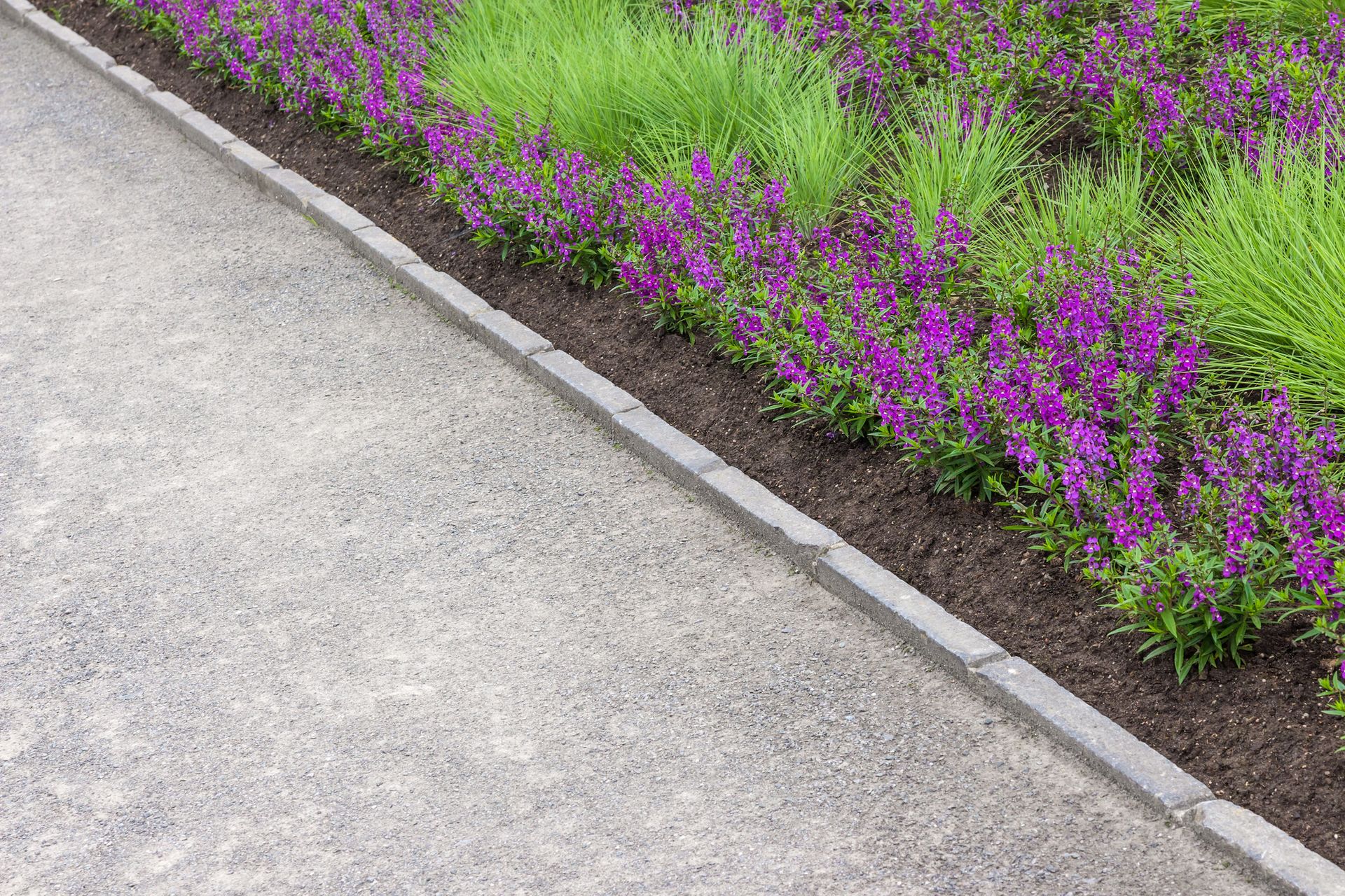 Gray gravel path alongside a flower bed with purple flowers and green plants.