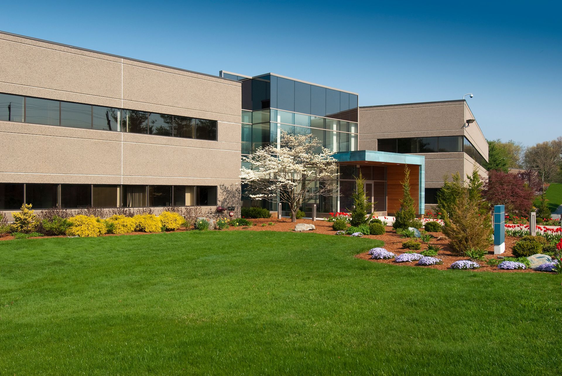 Modern, tan building with glass and blue accents, lush green lawn, and blooming trees.
