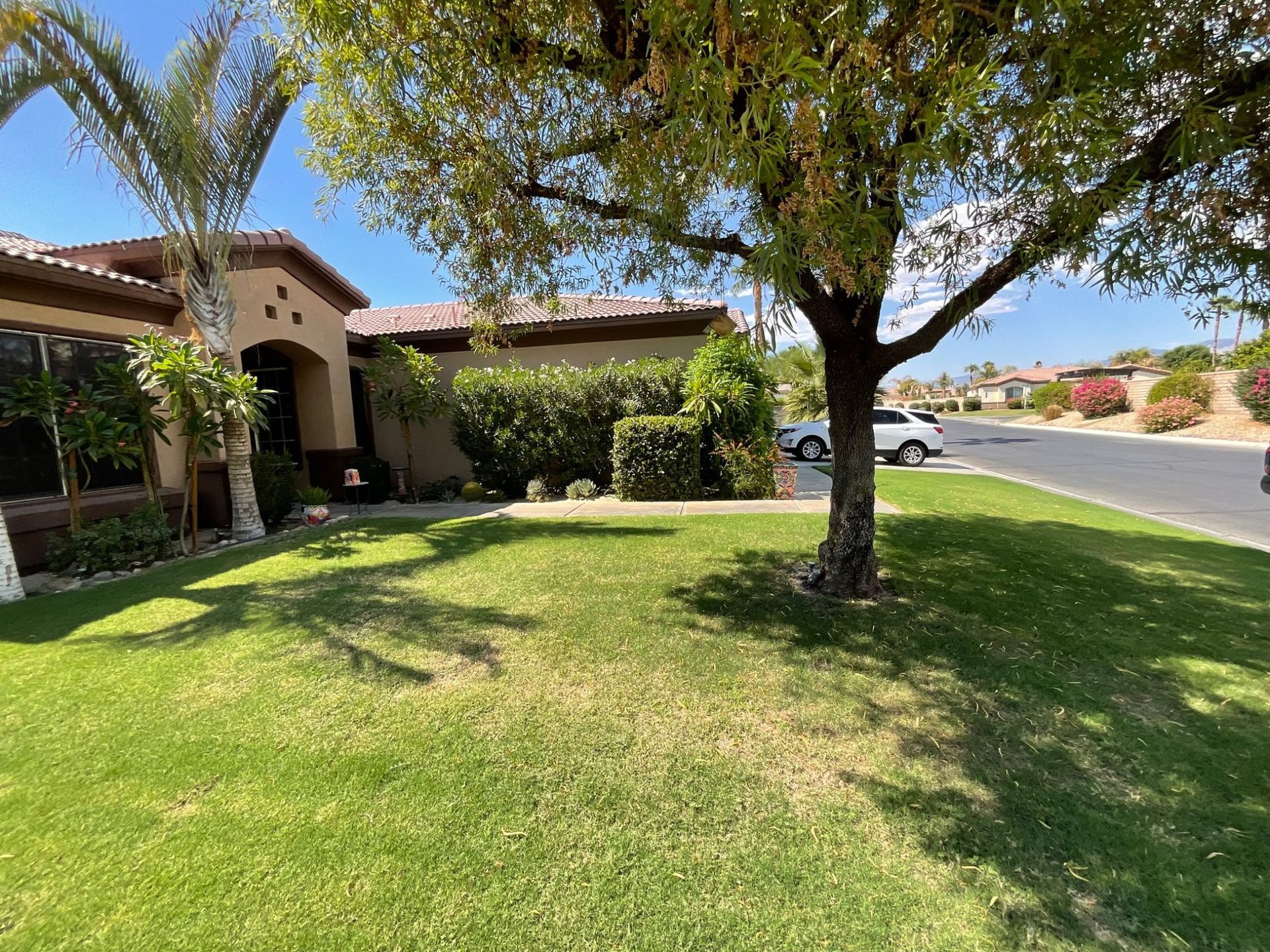 Suburban front yard with green lawn, palm trees, and a house beside a quiet street under sunny skies