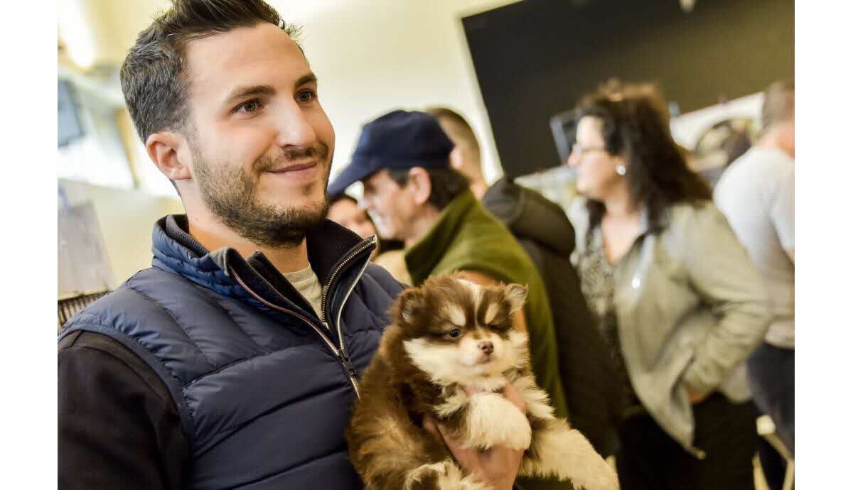 Salon Du Chiot Bayonne