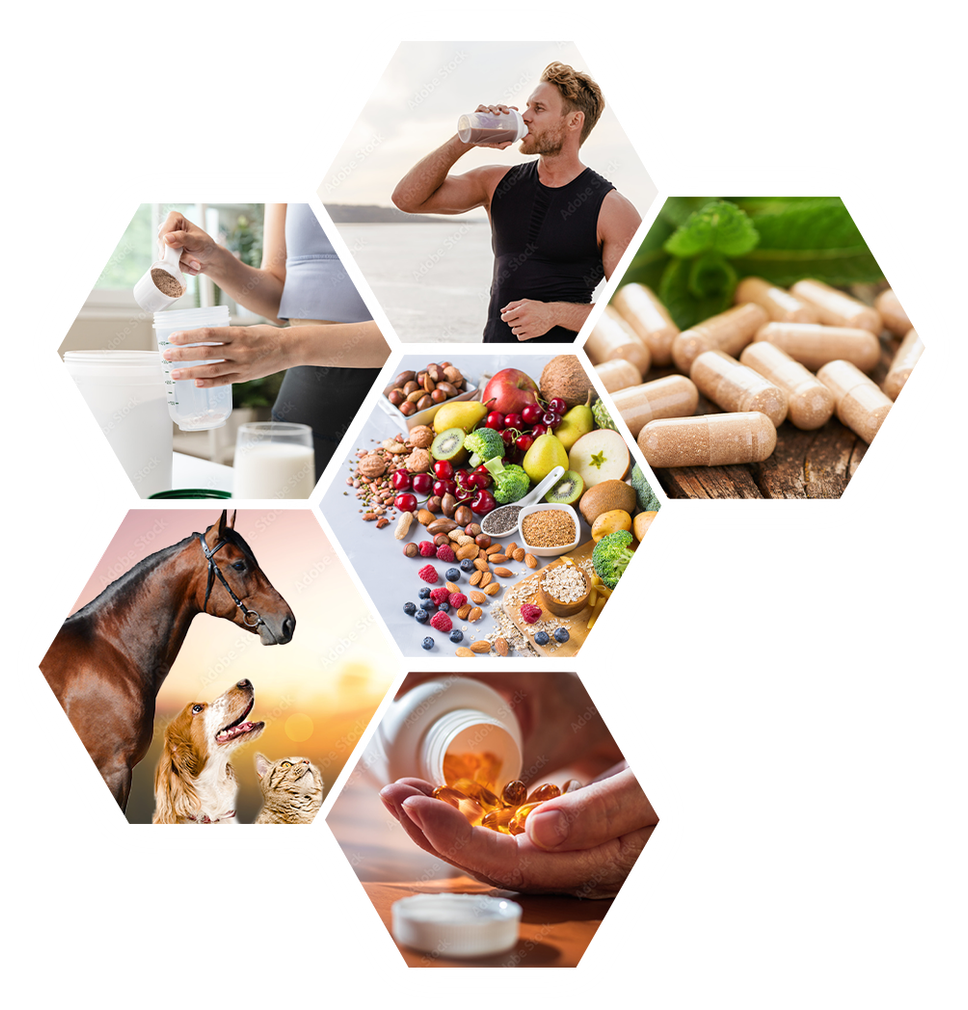 healthy formulas for people and animals