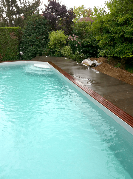 Une grande piscine entourée d'arbres et de buissons