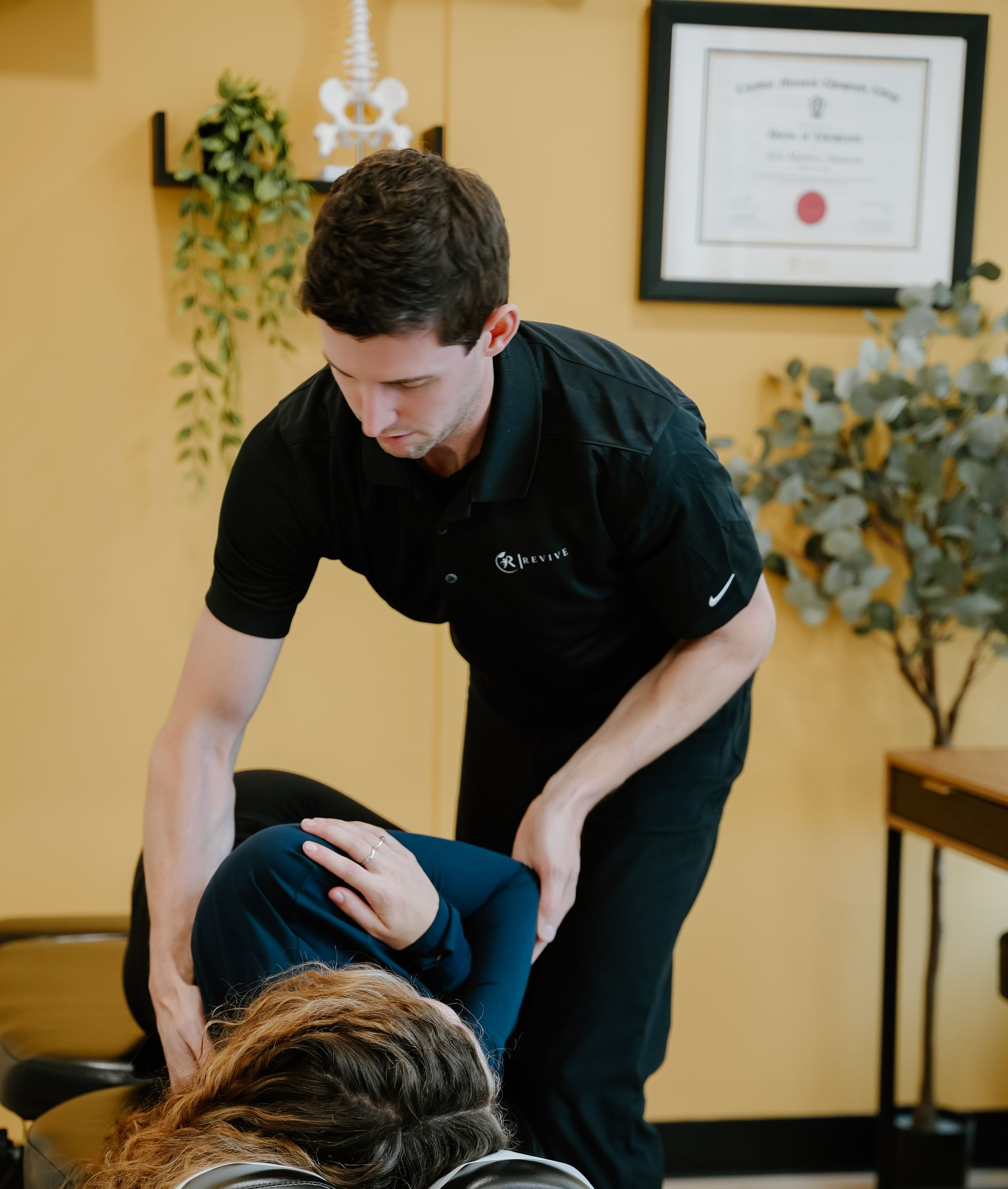 Chiropractor adjusting a patient leaning forward in a clinic room with framed certificate and plants.