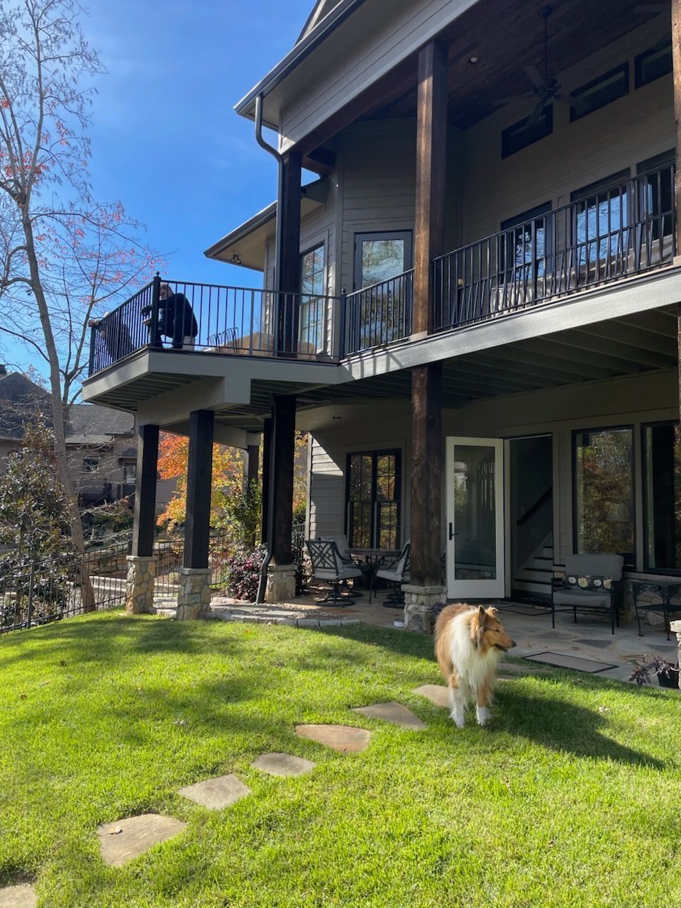 A dog is standing in front of a large house.