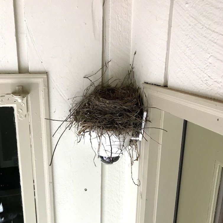 Bird's nest built on a white security camera, mounted in the corner of a building's exterior.