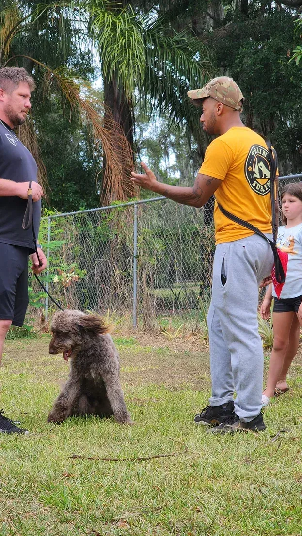Two men training a curly brown dog beside a fence, with a child watching in a grassy yard.