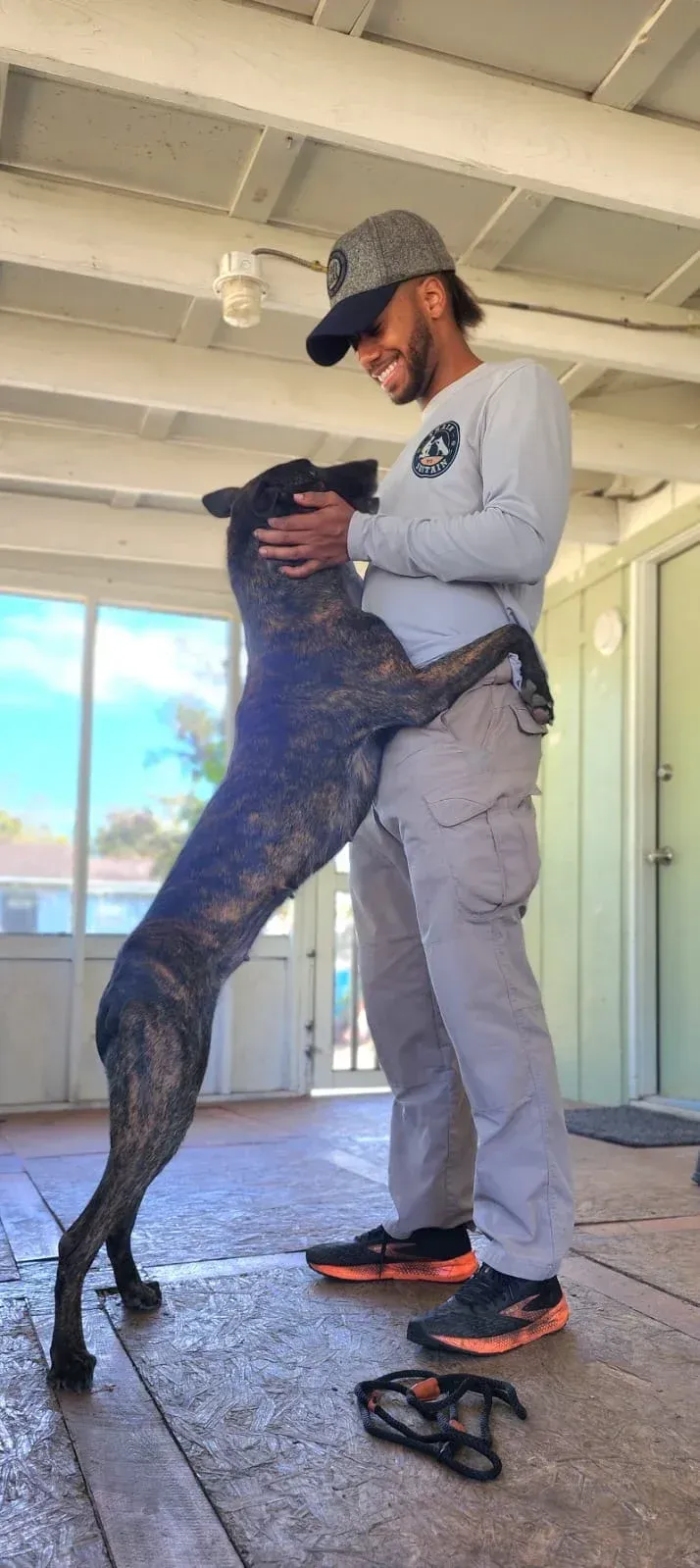 Person in a cap hugs a large brindle dog indoors near a bright window.