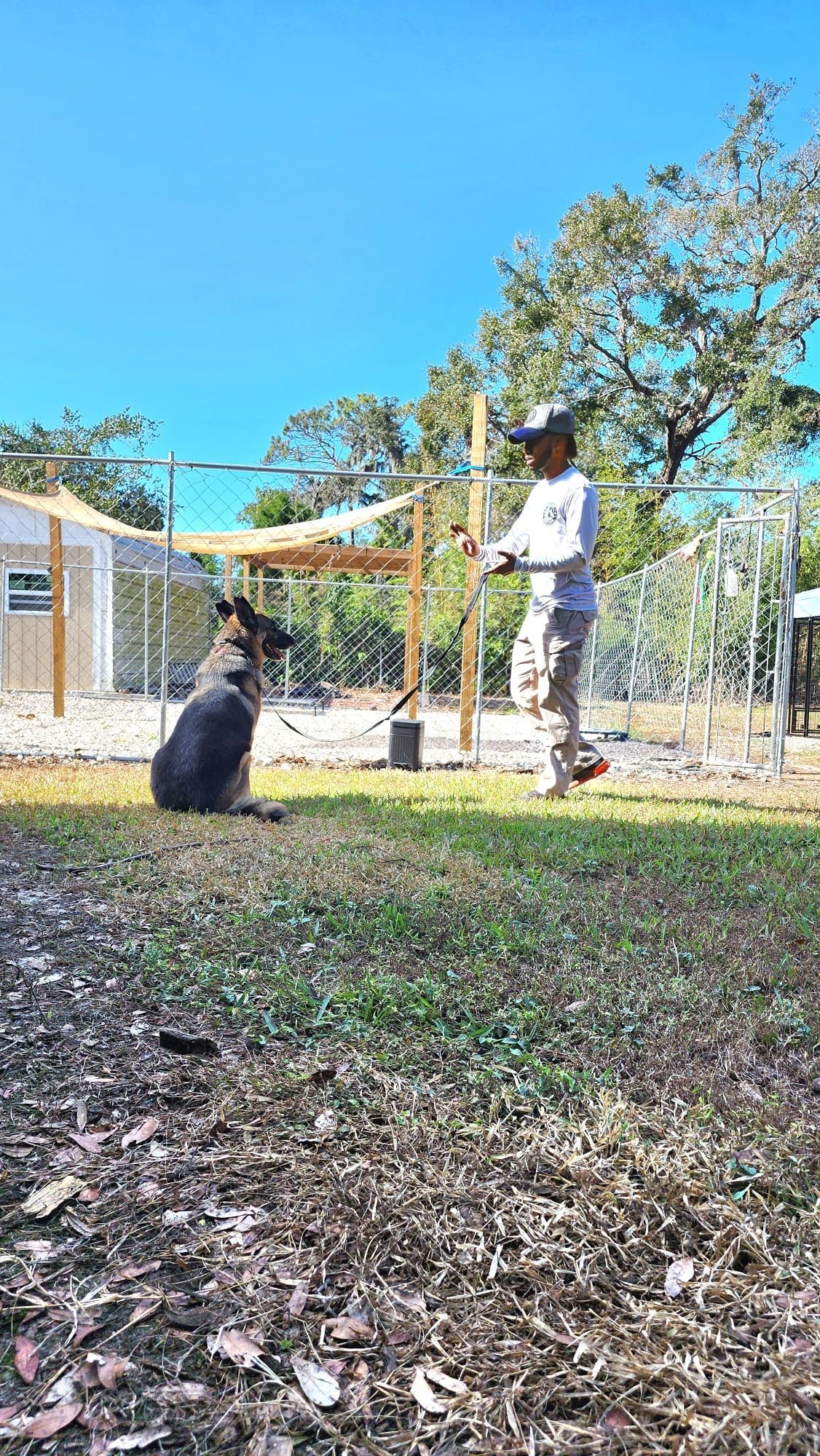 Person in white shirt stands near a black dog outdoors beside a house and clothesline.