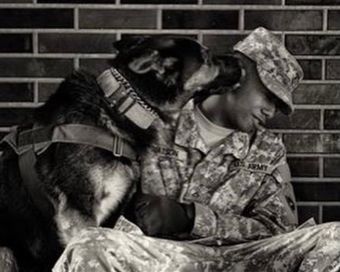 Soldier in camouflage sits with a dog nuzzling his face against a brick wall
