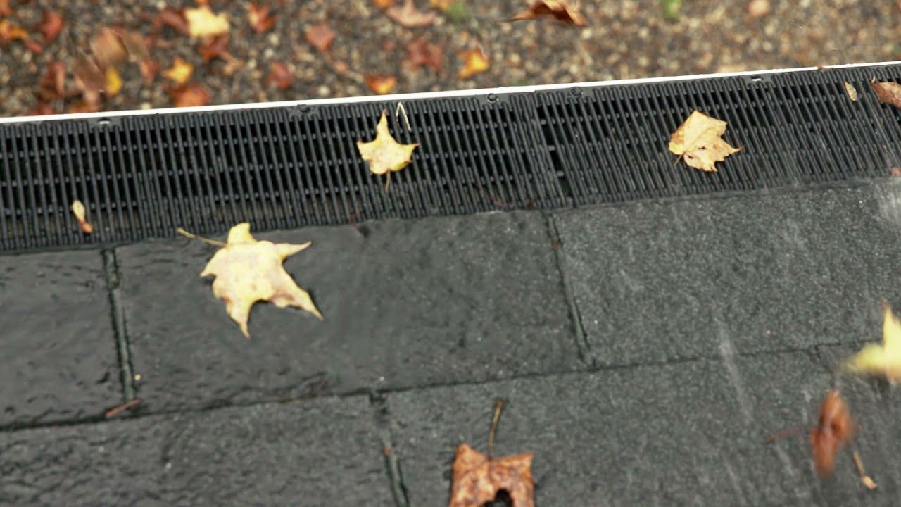 Leaves are falling on a drain on a rainy day.
