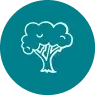 Tree and Branch Debris Cleanup