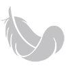 icona logo