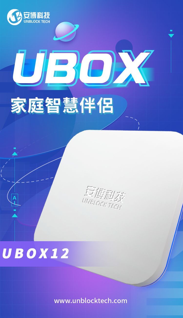 【攜帶式無線K歌音箱】安 博盒子機皇 第十二代12 PRO MAX (X20)安博電視盒台灣版4G/64GB  純淨版 安博科技