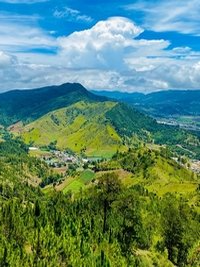 Constanza