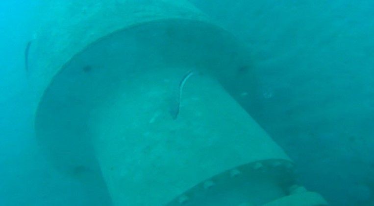 ARTA Sub Sea I
