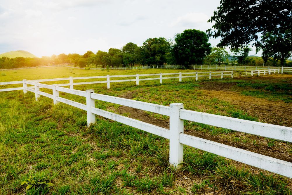 White Picket Fence in a Grassy Field, Trees — Kellie O'Malley Conveyancing In Lake Munmorah, NSW