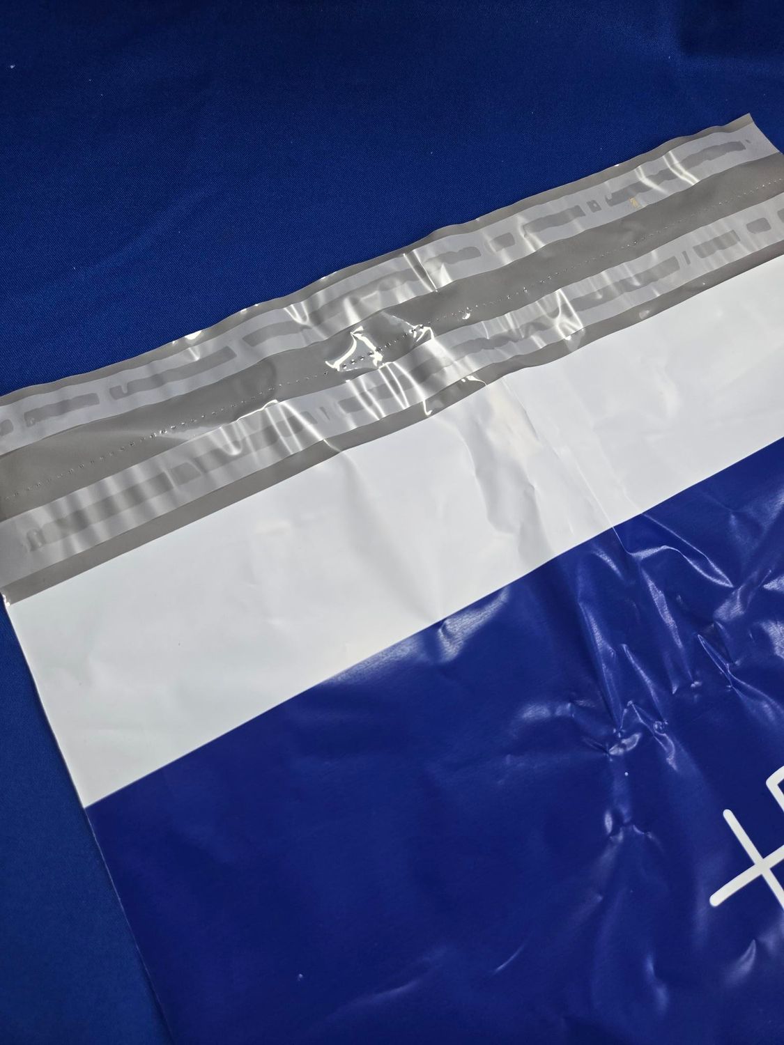 White and blue plastic mailing envelope, sealed with adhesive strip against a blue background.