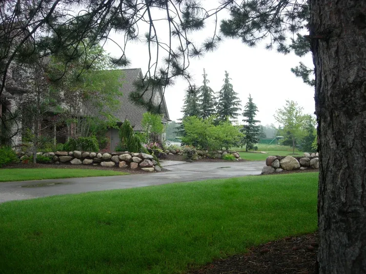 Tree-framed driveway and stone wall beside a green lawn, with tall evergreens in the background