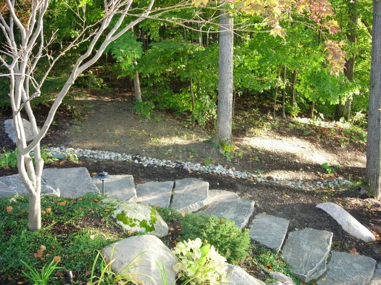 Stone steps leading up a wooded garden path with trees and greenery