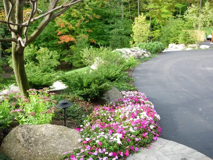 Curved garden path bordered by pink flowers, rocks, and lush green shrubs under trees