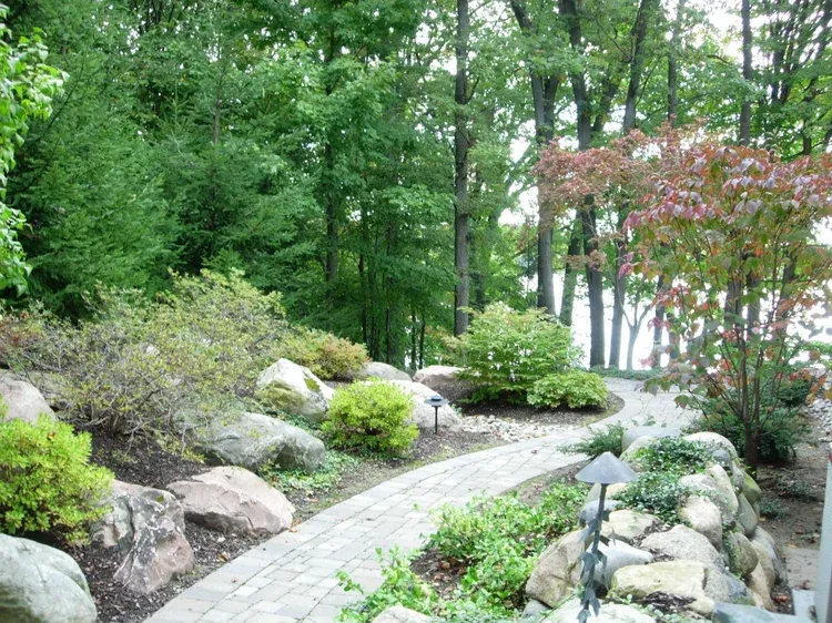 Curving stone path through a lush garden with rocks, shrubs, and tall green trees