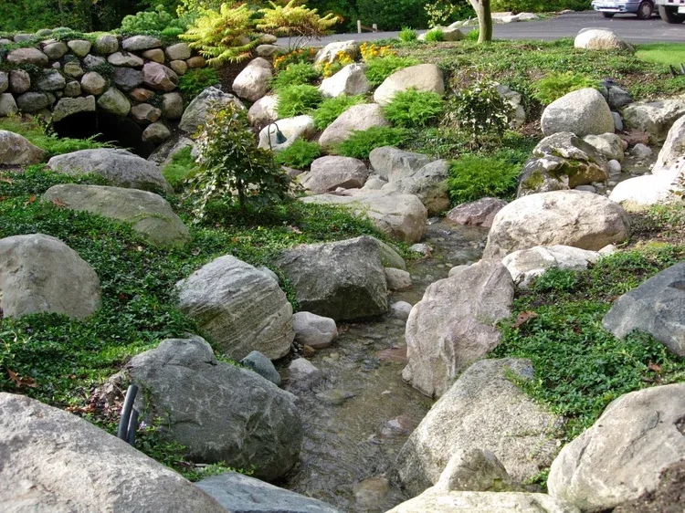 Rock garden with large gray stones, green ground cover, and a stone retaining wall with yellow flowers.