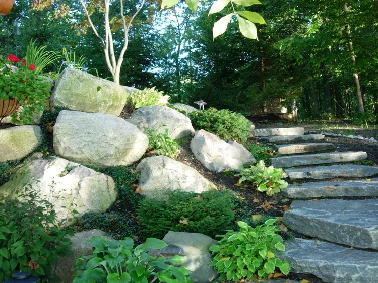Stone steps and a dirt path in a leafy garden with trees and green shrubs