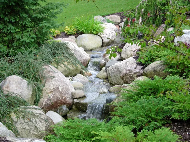 Small garden stream flowing over rocks, surrounded by lush green ferns and grass.