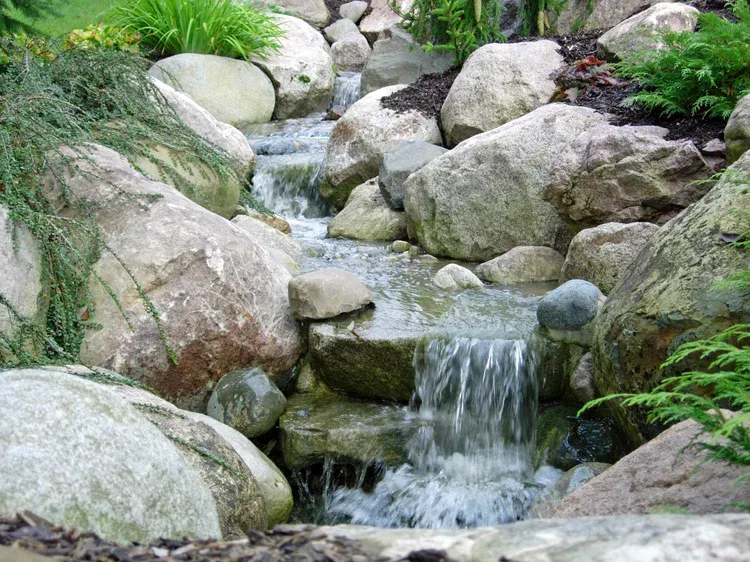 Rocky stream with small cascading waterfall and green plants along the banks