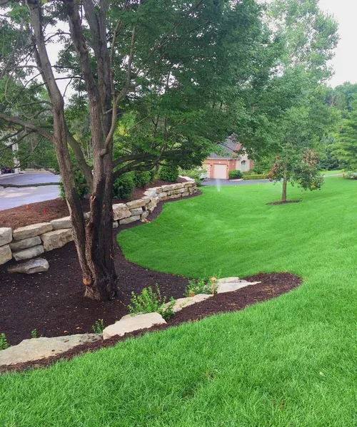 Lush green lawn with a stone retaining wall and trees beside a small shed in a landscaped yard
