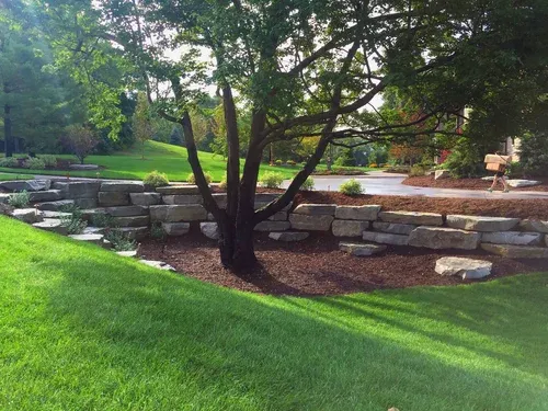 Landscaped garden with a small tree, stone retaining wall, and bright green lawn