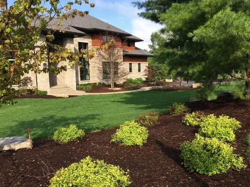 Landscaped yard with green lawn, shrubs, and a two-story stucco house under trees