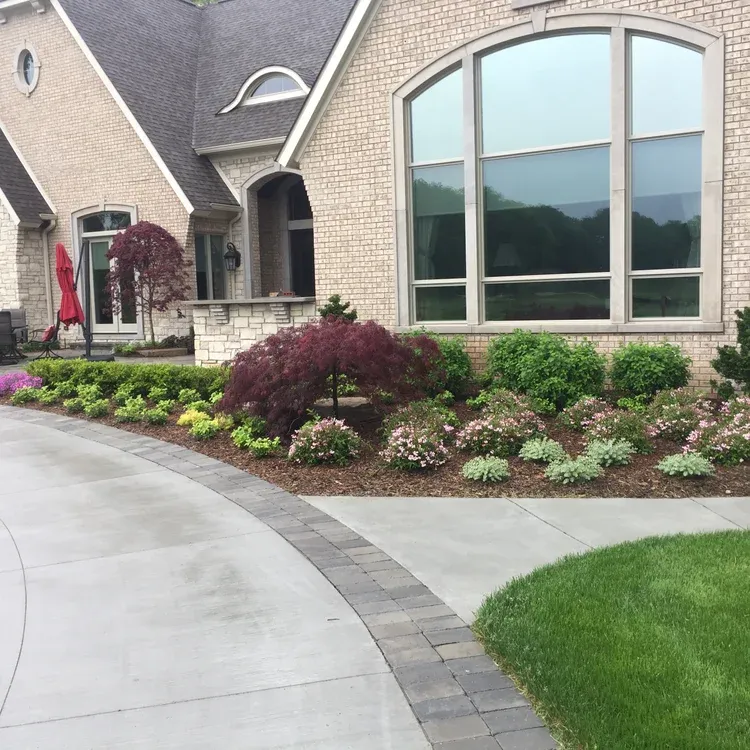 Front yard of a brick house with arched windows, curved concrete driveway, and landscaped shrubs and lawn